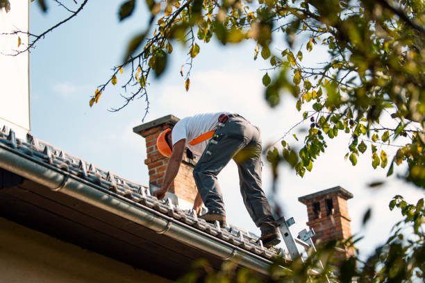 Best Roof Restoration Services  in Lisbon, IA