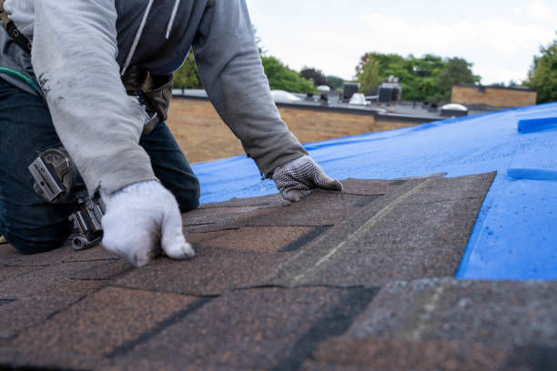 Best Shingle Roofing Installation  in Lisbon, IA